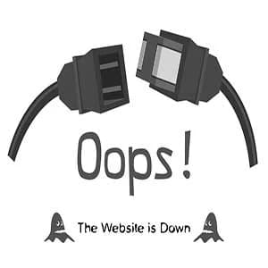 چگونه از Down شدن وب سایت جلوگیری کنیم؟